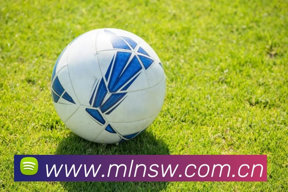 世界杯指定官网平台生态图